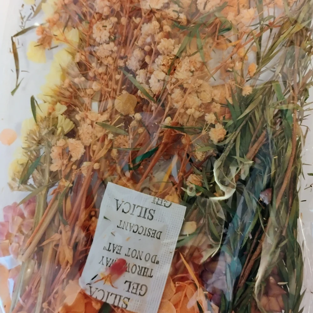 Pressed Dried Flowers Dry Resin Crafts Red Orange Yellow Scrapbooking Wedding